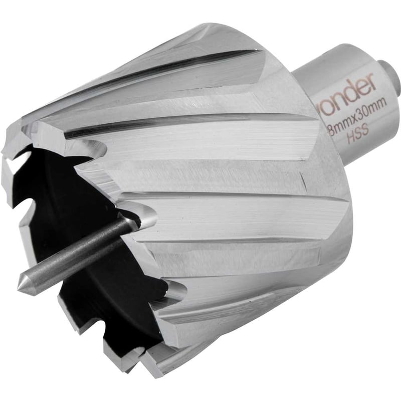 Broca anular, encaixe Weldon, 48 mm x 30 mm