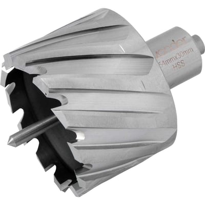 Broca anular, encaixe Weldon, 54 mm x 30 mm